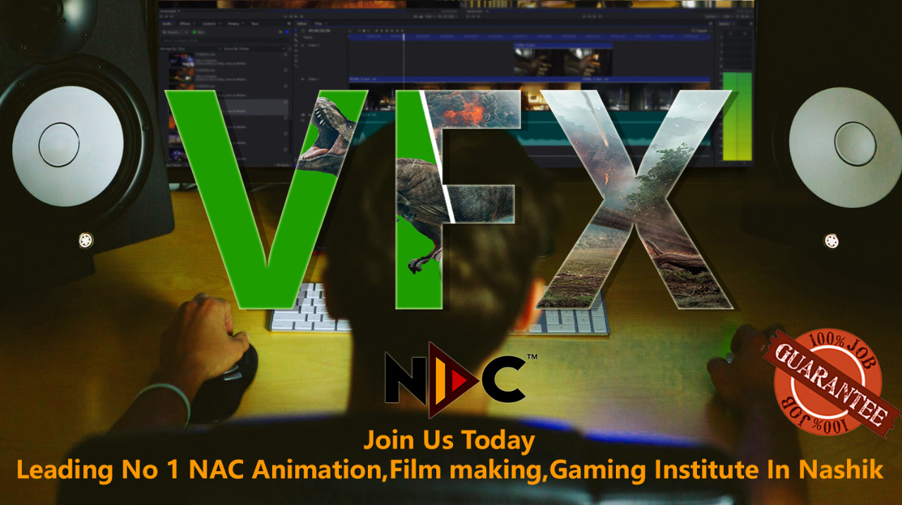 NAC Animation Institute Nashik, Master Courses, 3D, VFX Prime, Graphics  Design, Video Editing, Gaming